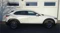 Mazda CX-30 G122 Comfort+/SO/ST Aut. Weiß - thumbnail 11