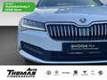 Skoda Superb Combi Ambition 1.5 TSI DSG NAVI AHK Weiß - thumbnail 1