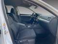 Skoda Superb Combi Ambition 1.5 TSI DSG NAVI AHK Weiß - thumbnail 8