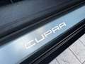 CUPRA Formentor 1.5 Tsi DSG Grigio - thumbnail 49