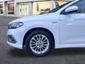 Fiat Tipo 1.0 73kW (100CV) Life Blanco - thumbnail 2
