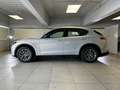 Alfa Romeo Stelvio 2.2 TD 210 CV Super AT8 Q4 Grigio - thumbnail 2