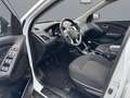 Hyundai iX35 Comfort 2WD Weiß - thumbnail 11