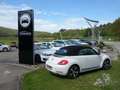 Audi A3 Sportback 2.0 TDI Ambiente/ NAVI/ XENON/ PLA Blanco - thumbnail 18