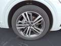 Audi Q5 50TDI quattro S line Optik AHK Pano Weiß - thumbnail 12