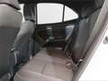 Toyota Yaris Cross 130H Active - thumbnail 11