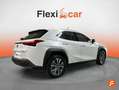 Lexus UX 300e Luxury Blanco - thumbnail 23