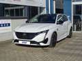 Peugeot 308 GT Mild Hybrid 136  e-DCS6 Automatik Weiß - thumbnail 2