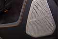 Lamborghini Urus SE MY25 | Panorama Roof | B&O | Full Comfort Seats Grijs - thumbnail 30