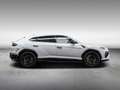 Lamborghini Urus SE MY25 | Panorama Roof | B&O | Full Comfort Seats Grijs - thumbnail 2