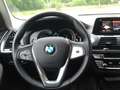 BMW X3 xDrive20d AHZV HiFi WLAN Wirel DAB ACC EU6d Blu/Azzurro - thumbnail 17