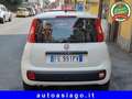 Fiat Panda Panda III 1.3 mjt 16v Easy 5 POSTI Bianco - thumbnail 5