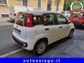 Fiat Panda Panda III 1.3 mjt 16v Easy 5 POSTI Bianco - thumbnail 4