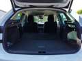 Skoda Scala Selection TSI Weiß - thumbnail 20