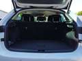 Skoda Scala Selection TSI Weiß - thumbnail 18