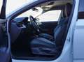 Skoda Scala Selection TSI Weiß - thumbnail 6