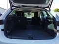 Skoda Scala Selection TSI Weiß - thumbnail 19