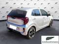 Kia Picanto Picanto 1.0 12V 5 porte 20th Anniversary Edition Grigio - thumbnail 5