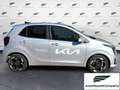 Kia Picanto Picanto 1.0 12V 5 porte 20th Anniversary Edition Grigio - thumbnail 4