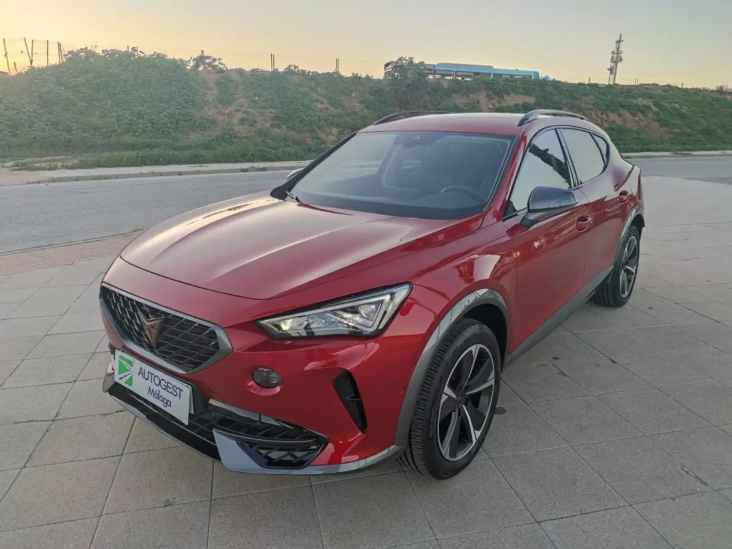 CUPRA Formentor 1.5 TSI 150 Mauve - 2