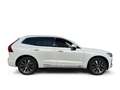 Volvo XC60 T6 Recharge Inscription Expression Plug-In Hybrid Weiß - thumbnail 4