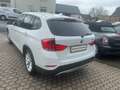 BMW X1 sDrive *2 Hand Scheckheft* AHK*TÜV NEUE Bianco - thumbnail 6