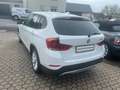 BMW X1 sDrive *2 Hand Scheckheft* AHK*TÜV NEUE Bianco - thumbnail 14