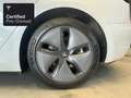 Tesla Model 3 Rear-Wheel Drive “Certified Pre-Owned” Wit - thumbnail 6