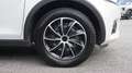 Suzuki Ignis 1,2 Shine 4WD ALLRAD Weiß - thumbnail 8