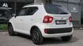 Suzuki Ignis 1,2 Shine 4WD ALLRAD Weiß - thumbnail 5