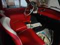 Fiat Cinquecento 704 ED cat. - thumbnail 4