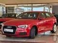 Audi A3 Sportback 1.6TDI CD Attraction Rojo - thumbnail 21