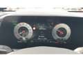 Kia Niro e-Inspiration,Wärmepumpe,Drive-Wise-Paket,Navi Rot - thumbnail 10
