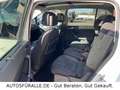 Volkswagen Touran *Comfort*7Si*Massage*Autom.*Pano.*AHK*TOP! Weiß - thumbnail 13
