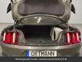 Ford Mustang Pack Shelby Tout compris hors homologation 4500e Grijs - thumbnail 13