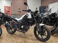 Benelli Leoncino - thumbnail 1