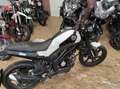 Benelli Leoncino - thumbnail 3