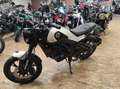 Benelli Leoncino - thumbnail 2