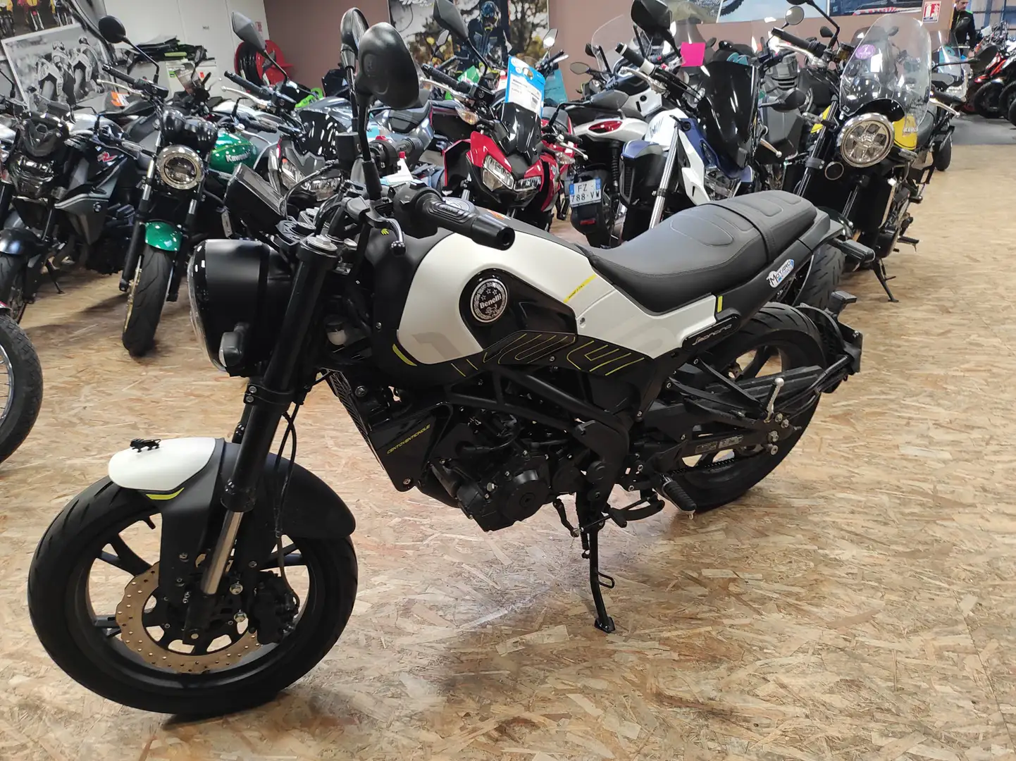 Benelli Leoncino - 2