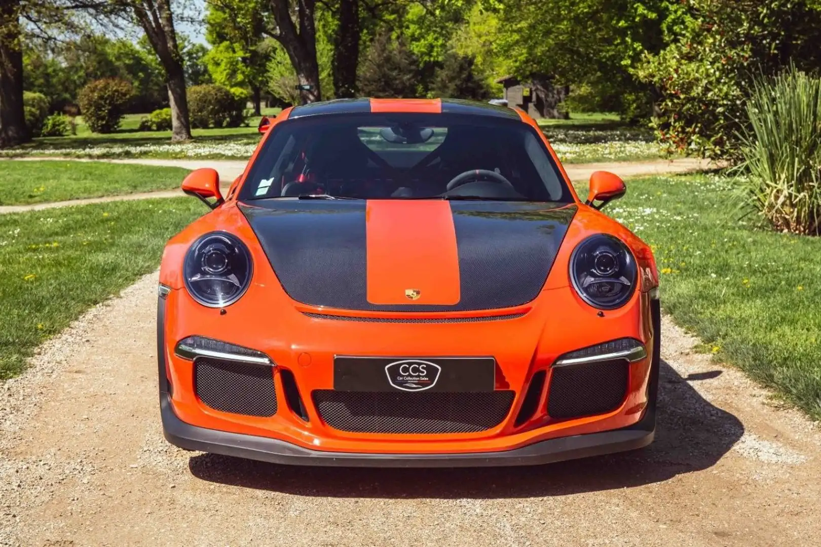 Porsche 991 991 phase 1 4.0L 500 GT3 RS - Lift - Carbone - Goud - 2