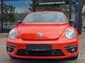 Volkswagen Beetle 1,4 TSI R-Line Club GAS Anlage Navi Keyy Arancione - thumbnail 3