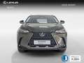 Lexus NX 450h+ Executive 4WD Grün - thumbnail 2