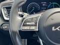 Kia XCeed 1.6 GDi PHEV 104kW (141CV) eMotion Portocaliu - thumbnail 12