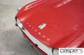 Triumph TR4 A IRS | 1967 | Leder | Sport Rot - thumbnail 3