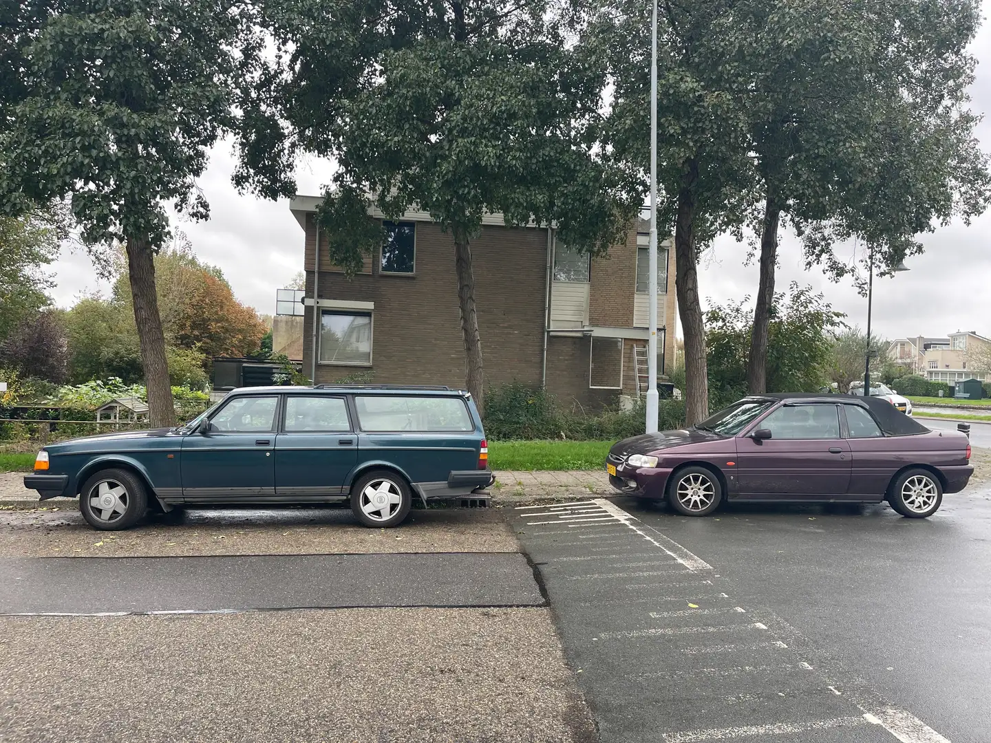 Ford Escort Escort 1.6 Pacific Mauve - 2