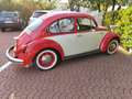 Volkswagen Maggiolino 1.2 L (messico) Rosso - thumbnail 2