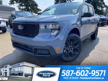 XLT | 302A | AWD
