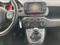 Fiat Panda Cross 4x4 85PS Gelb - thumbnail 18