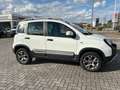 Fiat Panda Panda 4x4 1.3 mjt 16v Cross 4x4 80cv Bianco - thumbnail 2