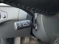 Audi A4 allroad 2,0 TDI quattro DPF ALLRAD|XENON|SITZH|PICKERL NEU Grau - thumbnail 16